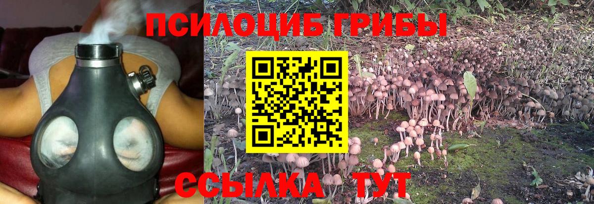 Псилоцибиновые грибы мицелий  Вход с VPN  Галлюциногенные грибы ЛСД  Каменск-Шахтинский 